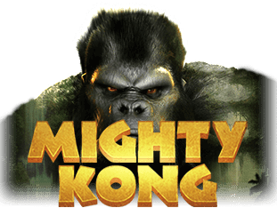 Mighty Kong game cover